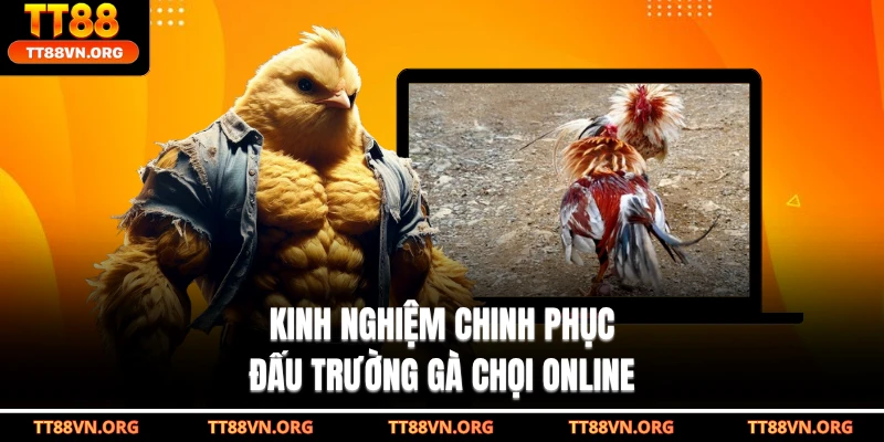 Kinh nghiệm chinh phục đấu trường gà chọi online
